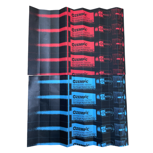 Skinny Zine w/ Fold-Out Artwork