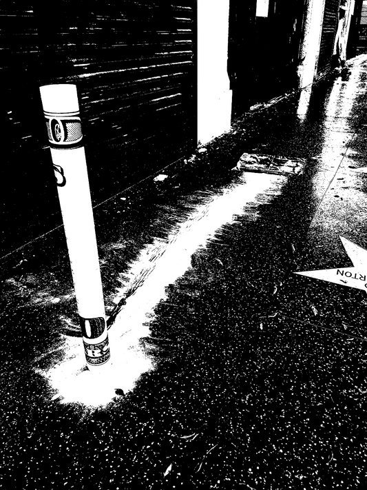 Hollywood Signed ScreenPrint