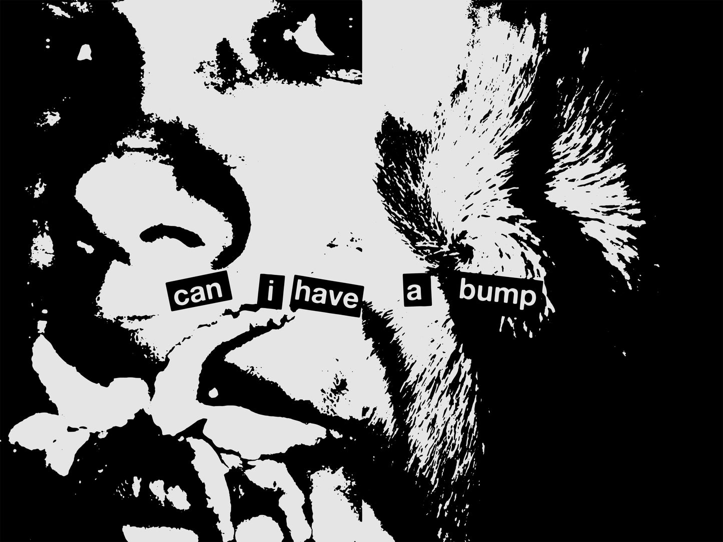 Can I Have a Bump Signed ScreenPrint